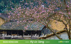 Những mùa xuân nho nhỏ