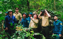 Cách đón tết của những "chiến sỹ" giữ rừng ở Lào Cai