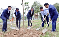 Hưởng ứng Tết trồng cây 2024, Phú Thọ sẽ trồng 945.000 cây xanh, Yên Bái trồng 15.000ha rừng