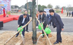 Lào Cai: Phấn đấu trồng 80.000 cây xanh đầu xuân năm mới