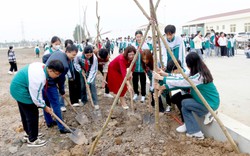 Ninh Bình: Phấn đấu trồng mới trên 1,2 triệu cây xanh trong năm 2024