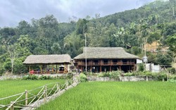 Nông thôn mới Lào Cai: Lan toả Homestay xinh, cổng đẹp, hàng rào cây xanh