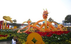 Sắp có công viên Rồng tại Đà Nẵng