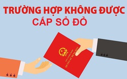 7 trường hợp không được cấp sổ đỏ theo Luật Đất đai 2024