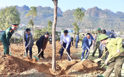 Lai Châu phát động "Tết trồng cây đời đời nhớ ơn Bác Hồ", phấn đấu trồng mới 15.000 ha rừng vào năm 2025