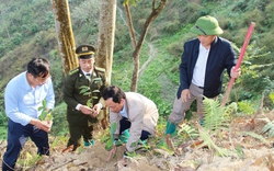 “Hành trình biên cương xanh” là chủ đề Lễ phát động trồng cây Xuân Giáp Thìn 2024 ở Hà Giang