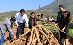 Bí thư Tỉnh ủy Lai Châu Giàng Páo Mỷ kiểm tra hoạt động lao động sản xuất đầu xuân