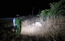 Vụ phát hiện thi thể quấn trong chăn ở Bình Thuận: Nạn nhân người nước ngoài