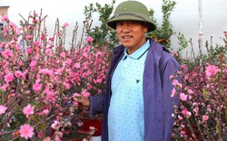Đào Nhật Tân, hoa tuyết mai miền Bắc "di cư tránh rét" đang nở tưng bừng chào xuân ở Cần Thơ