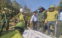 Cháy rừng tại Vườn Quốc gia Hoàng Liên: Chủ tịch UBND tỉnh Lào Cai có văn bản hỏa tốc