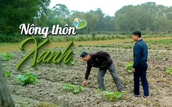 NÔNG THÔN XANH: Mỏ sắt Thạch Khê - Chính quyền mất phương hướng, người dân “đi không được, ở không xong”  