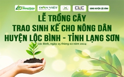 Người dân tỉnh Lạng Sơn háo hức mong chờ ngày được nhận cây giống mắc ca