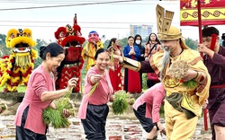 "Vua Hùng đi cấy" ở thành phố ngã ba sông Việt Trì