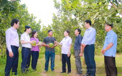 Năm 2024, Hội Nông dân tỉnh Khánh Hòa đầu tư vốn Quỹ Hỗ trợ nông dân cho những mô hình mới