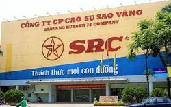 Cao su Sao Vàng (SRC) thu về hơn 300 tỷ đồng nhờ chuyển nhượng 21,2ha đất công nghiệp