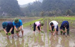 Một huyện "nghèo 30a" ở Hà Giang đang làm cách nào để giúp nông dân nâng cao hiệu quả sản xuất?