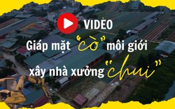 Video: Giáp mặt "cò" môi giới xây nhà xưởng trái phép trên đất nông nghiệp tại Hà Nội