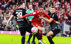 Freiburg vs Bayern Munich (2h30 ngày 2/3): Còn nước, còn tát