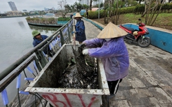 Cá chết bốc mùi hôi thối bên trong công viên Thiên văn học