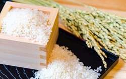Tranh thủ nhu cầu gạo tăng "nóng" của Indonesia thời điểm này là vô cùng cần thiết với gạo Việt 