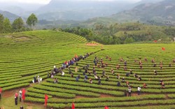 Lào Cai: Phát động phong trào thi đua "Chung sức xây dựng nông thôn mới" và "Thực hiện Nghị quyết 10"