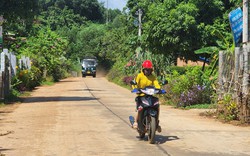 Một xã nông thôn mới ở Bình Định có những "ngôi nhà xanh" rất đặc biệt 