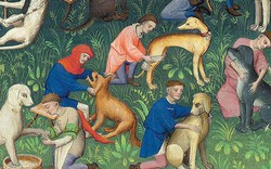 Nuôi chó làm thú cưng vào thời Trung cổ: Chó thể hiện đẳng cấp quý tộc