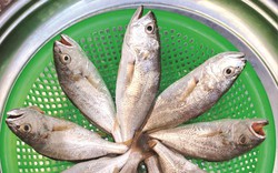 Cá ướp giấy ở Bình Thuận là thứ khô cá gì mà hễ tết đến nhâm nhi một miếng thấy lạ miệng?