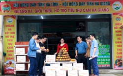 Hội Nông dân Hà Tĩnh hỗ trợ tiêu thụ 18 tấn cam sành cho nông dân Hà Giang 