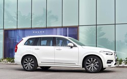 Volvo triệu hồi SUV xịn tại Việt Nam vì lỗi dây đai an toàn