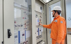 Tổng công ty Điện lực miền Nam: Sẵn sàng đảm bảo điện dịp Tết Giáp Thìn 2024