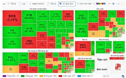 Dòng tiền đã "nghỉ Tết" VN-Index vẫn tăng hơn 2 điểm, dự báo thị trường chứng khoán sau Tết?