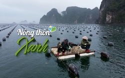 NÔNG THÔN XANH: Ngư dân Quảng Ninh “xoá sổ” phao xốp, phủ xanh vùng nuôi biển bằng vật liệu thân thiện môi trường