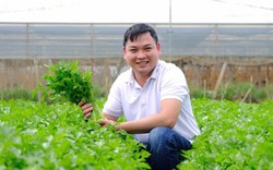Trai Lâm Đồng "liều" lập công ty, liên kết trồng rau, được Thủ tướng Chính phủ tặng Bằng khen