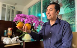 Đây là nông dân đầu tiên của Nghệ An trồng cam Xã Đoài tiêu chuẩn toàn cầu, bán quả lên máy bay