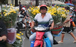 Chợ hoa lớn nhất TP.HCM đông đúc người mua chiều 29 Tết
