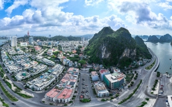 Một ngọn núi nổi tiếng ở Quảng Ninh đang được đề xuất công nhận di tích quốc gia đặc biệt, đó là núi nào?