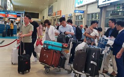 Hơn 100.000 khách qua sân bay Tân Sơn Nhất trong ngày 30 Tết