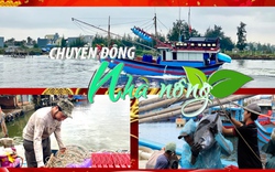 Chuyển động Nhà nông 9/2: Ngư dân Bình Định đánh bắt xuyên Tết, hy vọng tàu đầy ắp cá