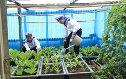 Những "nông dân" nuôi, trồng trên Biển Đông giúp Trường Sa, vùng nhà giàn DK1 thêm xanh