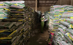Triệt phá đường dây sản xuất, buôn bán phân bón giả “khủng” liên tỉnh ở Quảng Ngãi