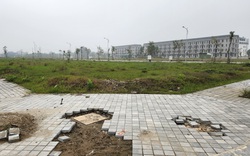 Dự án của Tập đoàn Phúc Sơn ở Vĩnh Phúc từng tự ý đầu tư hạ tầng khi chưa được phép