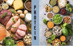 
Protein động vật và protein thực vật: Cái nào tốt hơn?