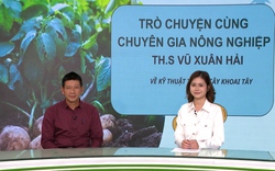 GÓC CHUYÊN GIA: Một số lưu ý khi cải tạo đất trồng cây khoai tây