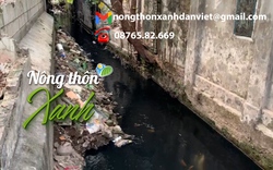 HỘP THƯ NÔNG THÔN XANH: Người dân Thủ đô sống khổ bên dự án cải tạo mương nước ô nhiễm