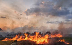 Cháy lớn rừng tại TP. Bảo Lộc, 2ha thông trồng bị thiêu rụi