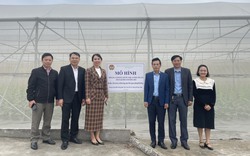 Trung ương Hội Nông dân Việt Nam hỗ trợ HTX Sông Giá ở Hải Phòng xây dựng mô hình nông nghiệp công nghệ cao