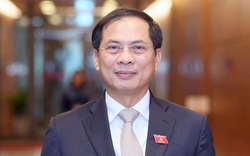 Bộ trưởng Bùi Thanh Sơn lần đầu trả lời chất vấn về giải pháp phòng chống tham nhũng, tiêu cực trong hoạt động ngoại giao