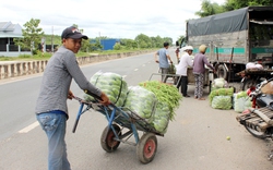 Chợ nông sản lớn nhất Tây Ninh chuẩn bị di dời về “nhà mới” 