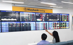 Chứng khoán Maybank dự trình lợi nhuận "nhích" nhẹ